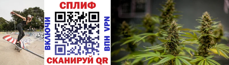 МАРИХУАНА семена Верхотурье